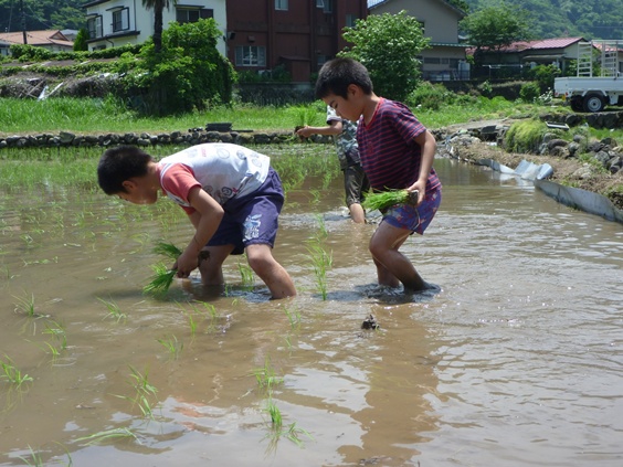 運動・感覚